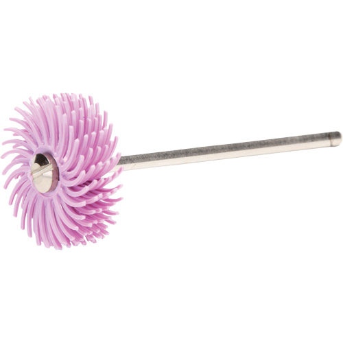 Scotch-Brite Radial Bristle Discs, Pumice Grit, 3/4" Dia. Consource