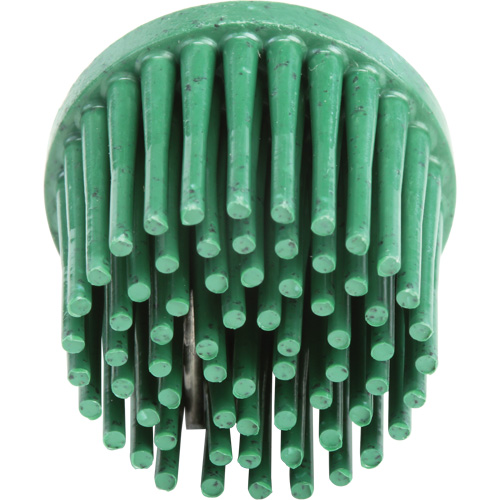 Disques bristle Roloc, Grain 120, 1" dia. Consource