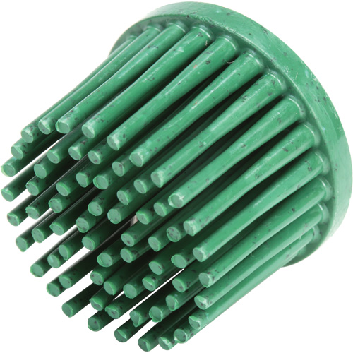 Disques bristle Roloc, C&eacute;ramique, Grain 50, 1" dia. Consource