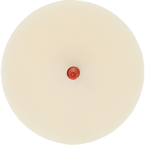 Scotch-Brite Moulding Adhesive & Stripe Removal Disc, 7501, 4" Dia. Consource