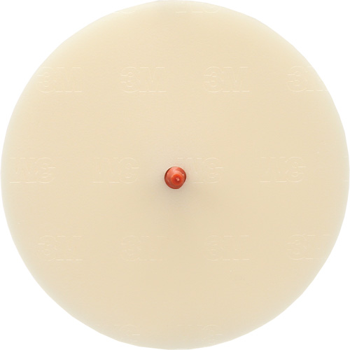 Disque Scotch-Brite 7502 pour retrait de colle et de bandes de moulage, 6" dia. Consource