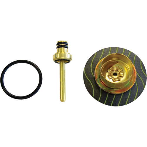 Filter/Regulator - Relieving Diaphragm & Valve Assembly Consource