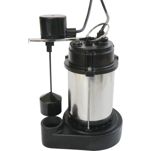 Pompe &agrave; boîtier en acier inoxydable et base en fonte, 1/3 CV, D&eacute;bit 3630 gal./h Consource