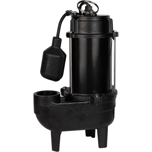 Pompe d'&eacute;gout en fonte, 120 V, 9,5 A, 6000 gal./h, 1/2 CV Consource