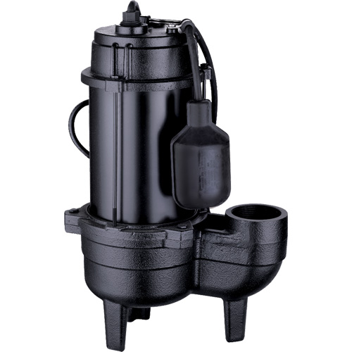 Pompe d'&eacute;gout en fonte, 120 V, 9,5 A, 6000 gal./h, 1/2 CV Consource