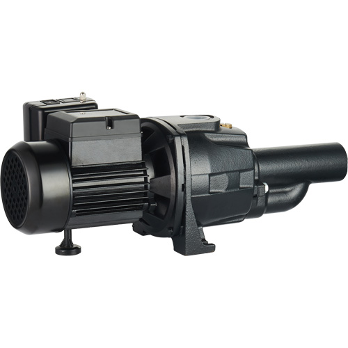 Pompe &agrave; jet en fonte &agrave; double tension transformable, 115 V/230 V, 1400 gal./h, 3/4 CV Consource