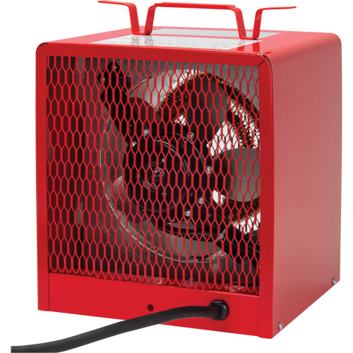 Radiateur, Entrepreneur, &eacute;lectrique, 16 380 BTU/H Consource