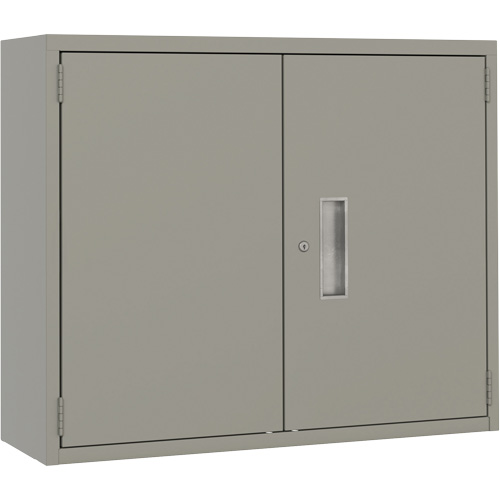 Armoire murale, Acier, 2 Tablettes, 30" h x 36" la x 12" P, Gris Consource