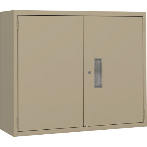 Armoire murale, Acier, 2 Tablettes, 30" h x 36" la x 12" P, Beige Consource