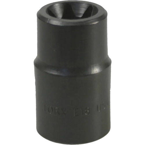 E-18 Torx&reg; Socket Consource