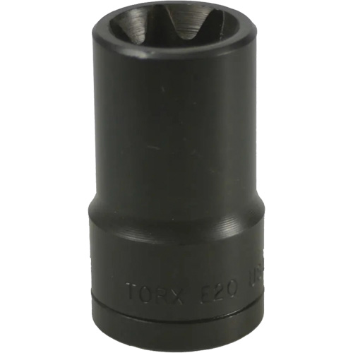 E-20 Torx&reg; Socket Consource