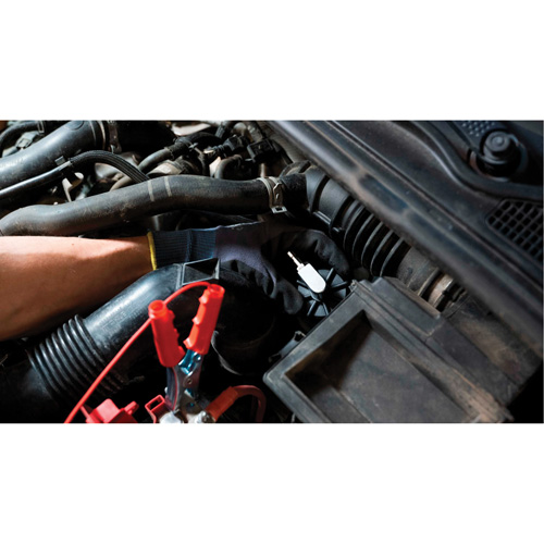 Tall Frame Brake-Pro Pressure Brake Bleeder with Adapters Consource