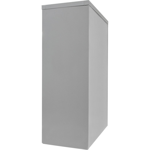 Armoire de rangement &agrave; hauteur de comptoir, Acier, 2 Tablettes, 42" h x 30" la x 15" P, Gris Consource