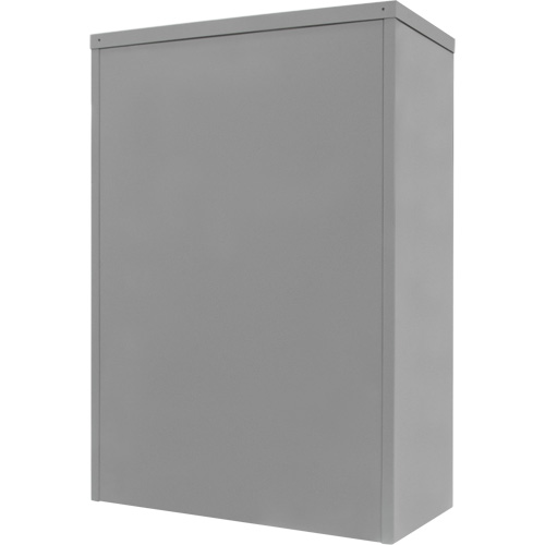 Armoire de rangement &agrave; hauteur de comptoir, Acier, 2 Tablettes, 42" h x 30" la x 15" P, Gris Consource