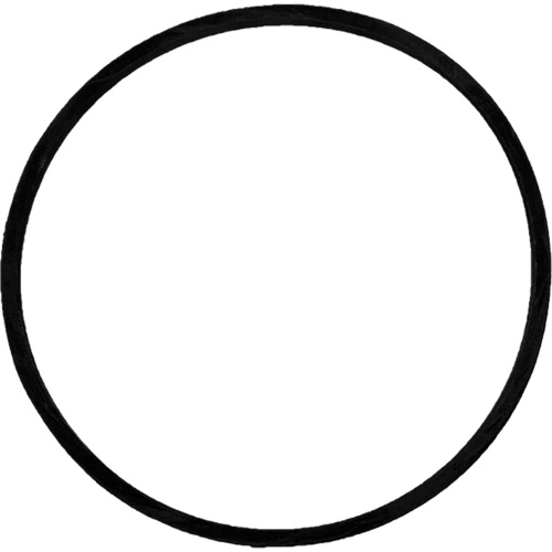Replacement Brush Drive Belt Consource