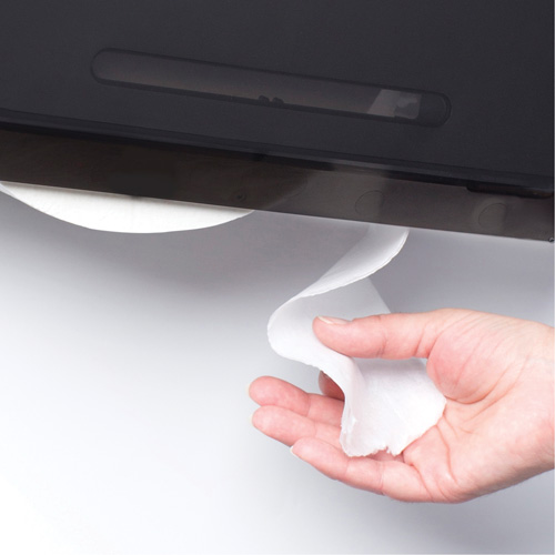 Cored JRT Combo Unit Toilet Paper Dispenser, Multiple Roll Capacity Consource