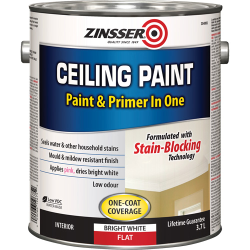 Ceiling Paint & Primer in One, White, Very Flat, 3.78 L, Gallon Consource