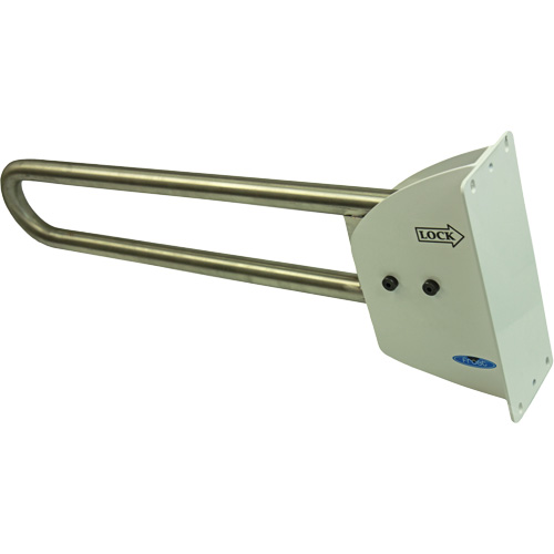 Swing-Up Safety Rail Consource