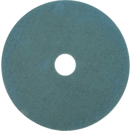 Tampon pour planchers, 17", Brunissage, Aqua Consource