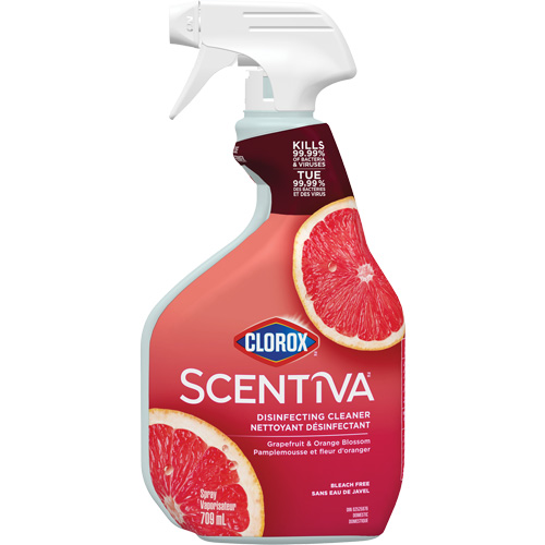 Vaporisateur nettoyant d&eacute;sinfectant multi-surfaces, 709 ml, Bouteille &agrave; g&acirc;chette Consource