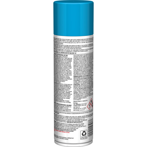 Brillant instantan&eacute; Pro Line pour surfaces en plastique, 11 oz, Canette a&eacute;rosol Consource
