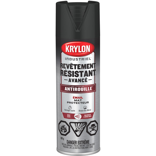 Tough Coat&reg; Advanced Paint with Rust Barrier Technology, Black, Flat Finish/Matte, 425 g, Aerosol Can Consource