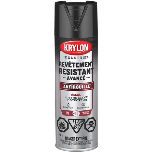 Tough Coat&reg; Advanced Paint with Rust Barrier Technology, Black, High-Gloss, 425 g, Aerosol Can Consource