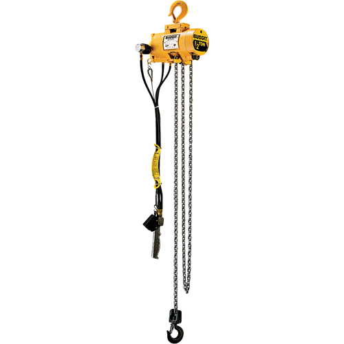 Budgit&reg; Air Chain Hoists Consource