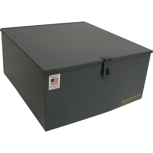 Mover Tricycles Consource