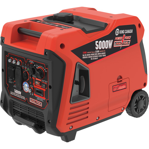 Dual Fuel Gasoline/Propane Inverter Generator Consource