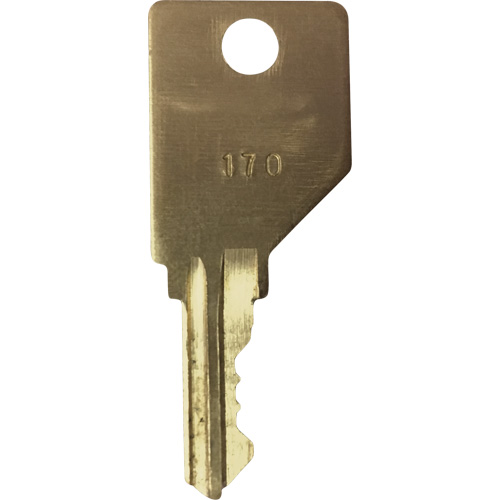 Cl&eacute; de rechange pour cendrier Frost Consource