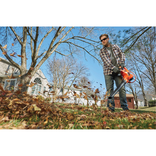 3-in-1 VacPack Leaf Blower/Vacuum/Mulcher, 250 MPH Output, Electric Consource