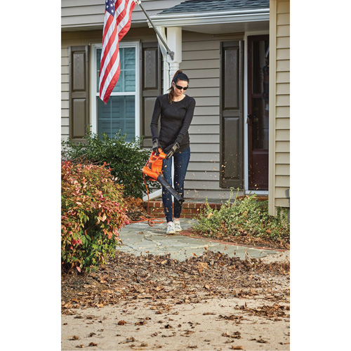 3-in-1 VacPack Leaf Blower/Vacuum/Mulcher, 250 MPH Output, Electric Consource