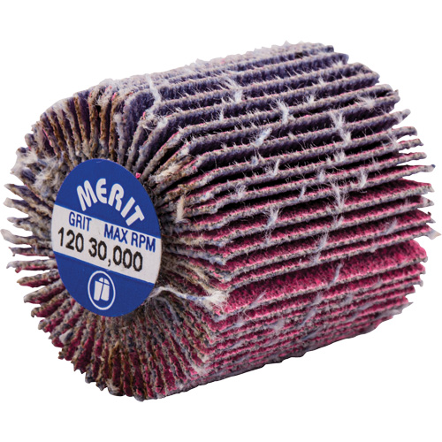 Mini-meule &agrave; lamelles filet&eacute;es, C&eacute;ramique d'alumine, Grain 120, 1" x 1" x 1/4"-20 Consource