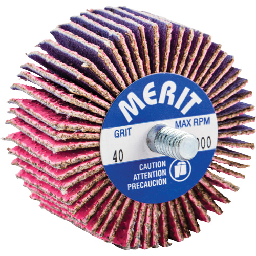 Threaded Mini Flap Wheel, Ceramic Alumina, 40 Grit, 2" x 1" x 1/4"-20 Consource