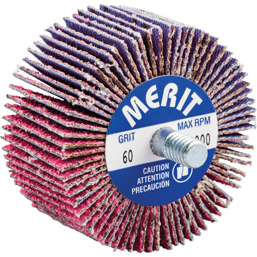 Threaded Mini Flap Wheel, Ceramic Alumina, 60 Grit, 2" x 1" x 1/4"-20 Consource