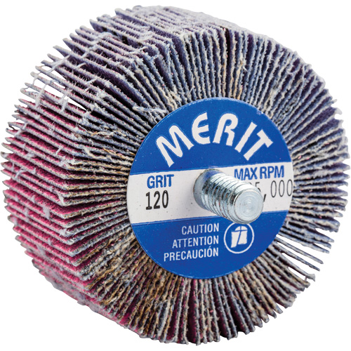Threaded Mini Flap Wheel, Ceramic Alumina, 120 Grit, 2" x 1" x 1/4"-20 Consource