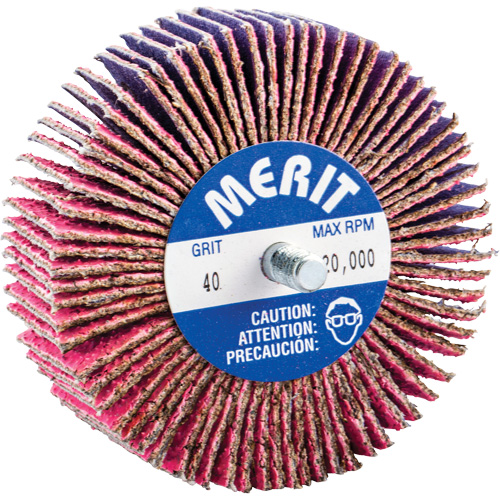Threaded Mini Flap Wheel, Ceramic Alumina, 40 Grit, 3" x 1" x 1/4"-20 Consource