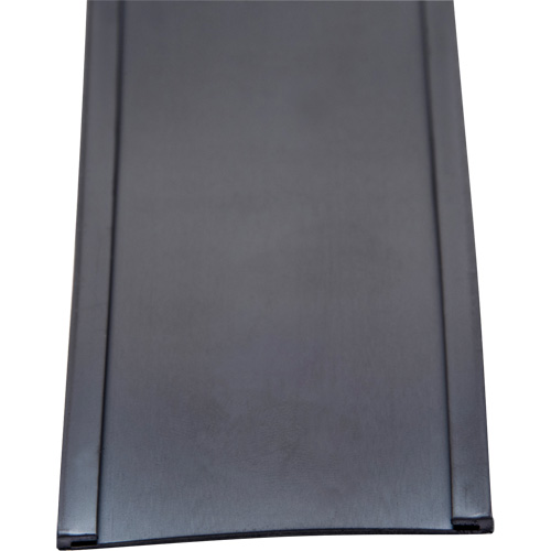 Card Holder, Magnetic, 600" L x 2" W Consource