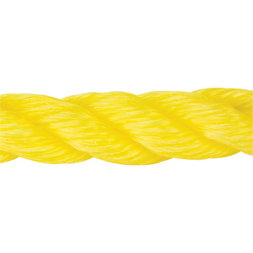 Corde jaune tress&eacute;e, Polypropyl&egrave;ne, 300' Consource