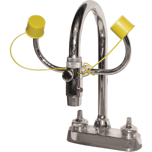 Eyewash Station, Sink Mount Installation Consource