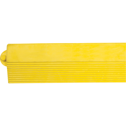 Rampe de bordure pour tapis Consource