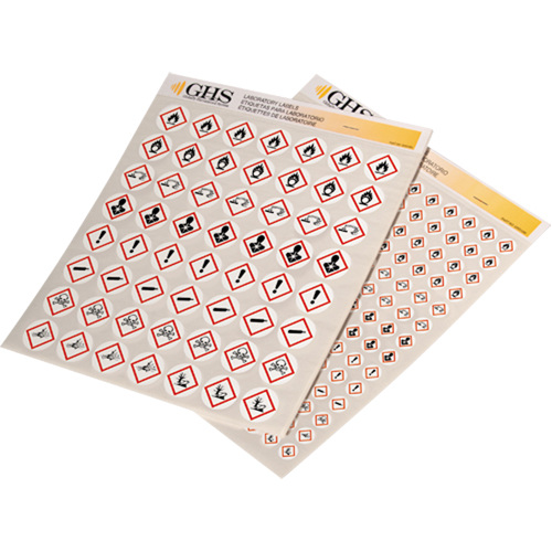 Assortiment d'&eacute;tiquettes avec pictogrammes sgh, Vinyle, Feuille, 1/2" lo x 1/2" la Consource