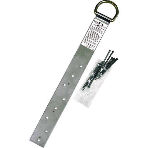 Ancrage simple pour toiture Miller, Anneau en D, Usage Permanent Consource