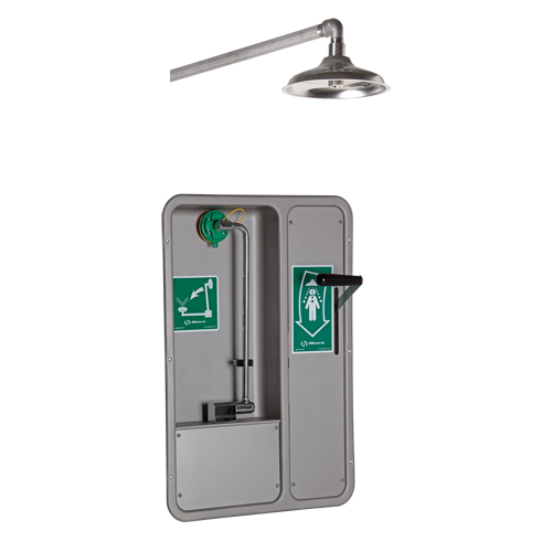 ADA Eye/Face Wash and Shower, Ceiling-Mount Consource