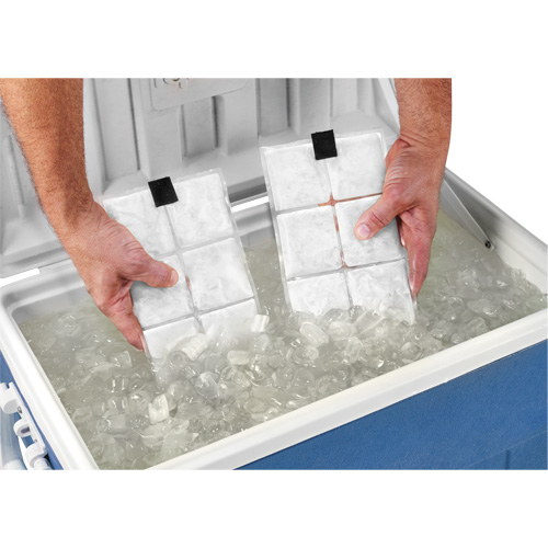 Sachets pour veste de refroidissement &agrave; changement de phase 6260 Chill-Its Consource