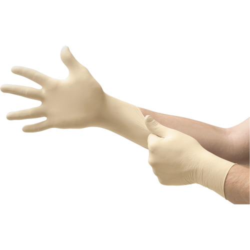 Gants d'examen MICROFLEX Ultra One, 10/9,5/T-Grand, Latex, 9,8 mils, Sans poudre, Naturel, Classe 2 Consource