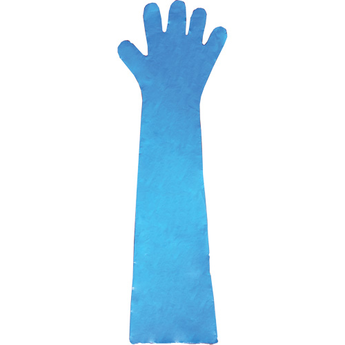 Gants jetables en latex, Gants jetables, Gants jetables en vinyle, Poly&eacute;thyl&egrave;ne, Sans poudre, Bleu Consource