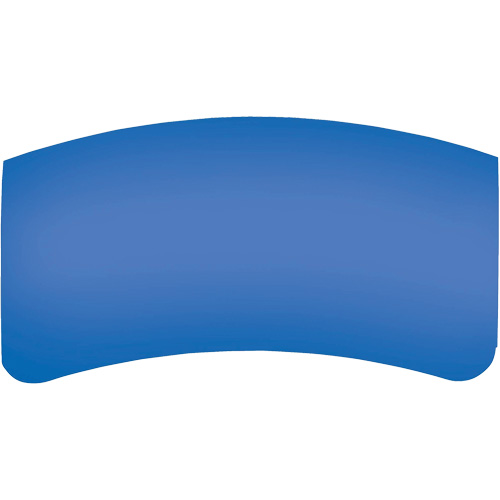 Lentille ext&eacute;rieure Bullard GenVX PETG Consource