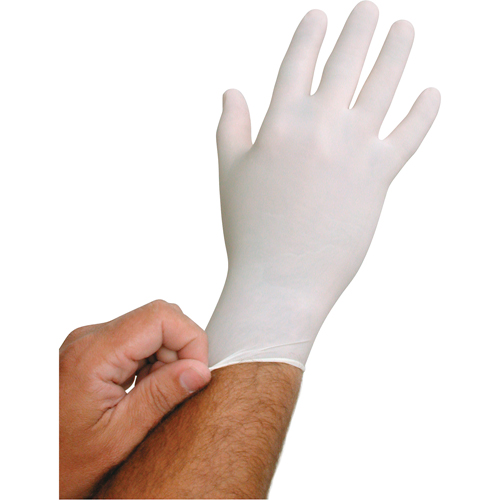 QRP BioTek&reg; Disposable Gloves, Large, Latex, 6-mil, Powder-Free, White Consource